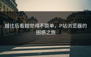 越往后看越觉得不简单，P站浏览器的困惑之旅