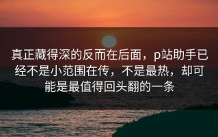真正藏得深的反而在后面，p站助手已经不是小范围在传，不是最热，却可能是最值得回头翻的一条