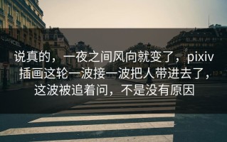 说真的，一夜之间风向就变了，pixiv插画这轮一波接一波把人带进去了，这波被追着问，不是没有原因