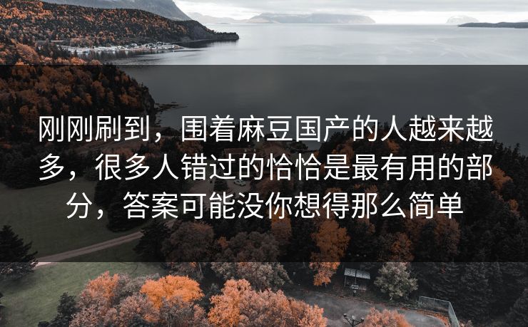 刚刚刷到，围着麻豆国产的人越来越多，很多人错过的恰恰是最有用的部分，答案可能没你想得那么简单-第1张图片-p站自媒体 | p站网页版内容站