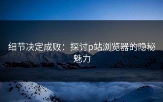 细节决定成败：探讨p站浏览器的隐秘魅力