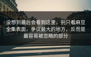 没想到最后会看到这里，别只看麻豆全集表面，争议最大的地方，反而是最容易被忽略的部分