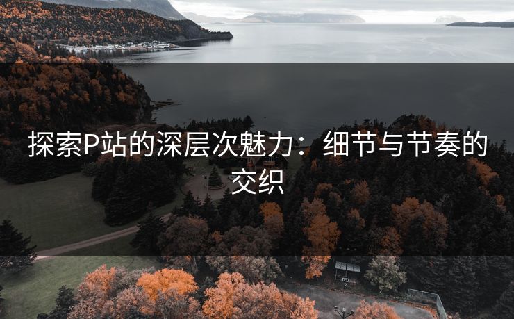 探索P站的深层次魅力：细节与节奏的交织-第1张图片-p站自媒体 | p站网页版内容站